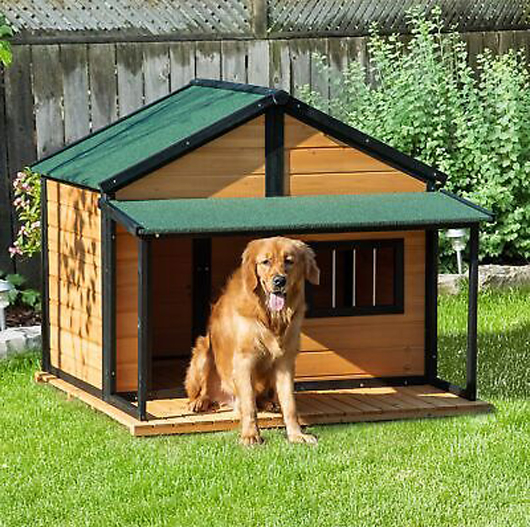 dog house