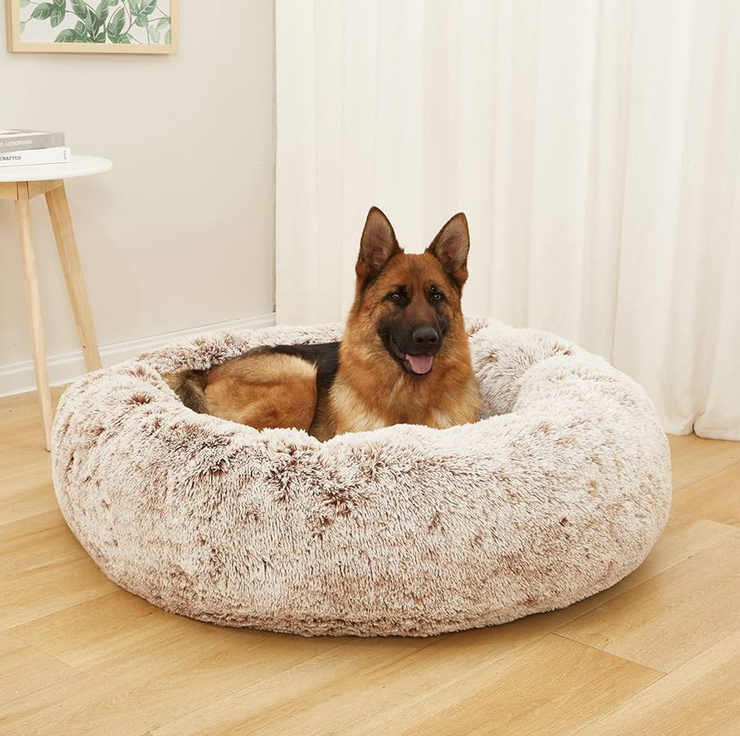 pet beds